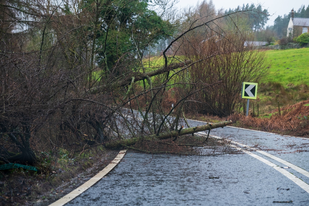 Should I Drive in Extreme Winds?